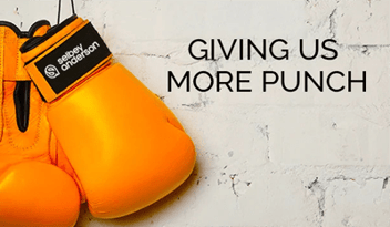 Boxing gloves with Selbey Anderson logo and text on the way that says 'Giving us more punch'